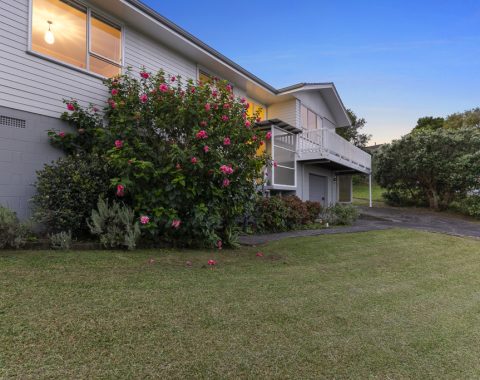 1024px.196524245__1776056635-84049-0111Laurinacopy