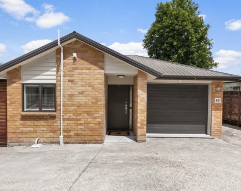 1024px.81272295__1707777136-19314-1